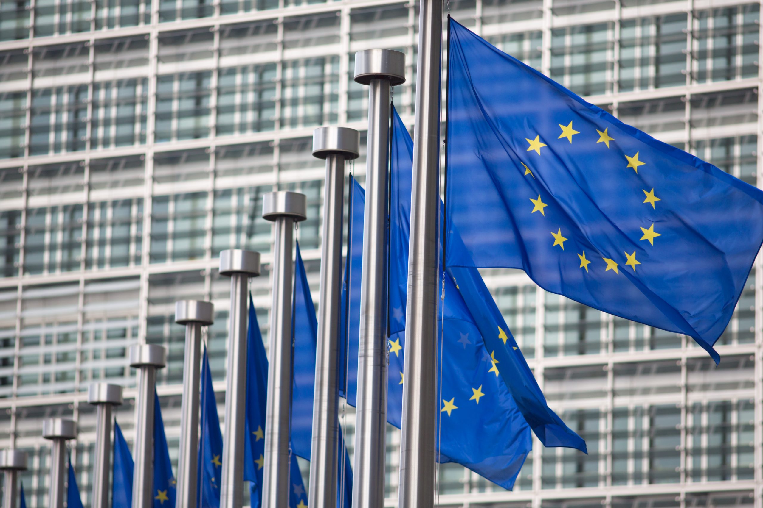 EU flags for temp homepage banner