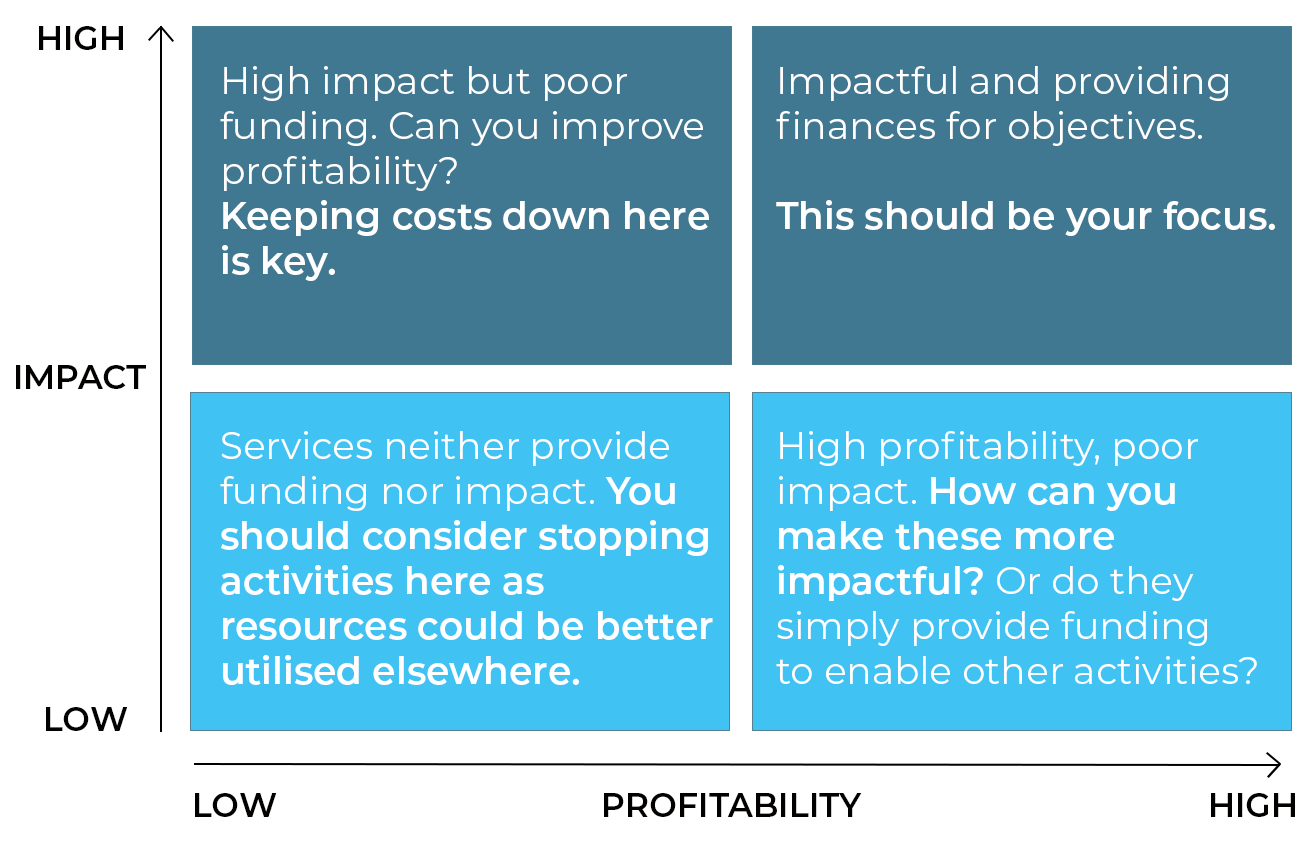 NonProfit impact vs profitabilty