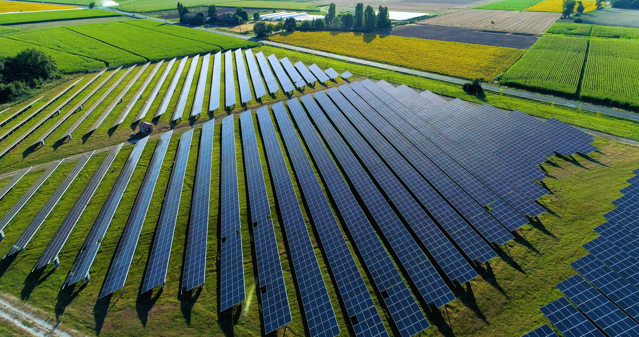 Solar panels in field for green energy, ESG initiative