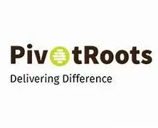 Pivot Roots logo