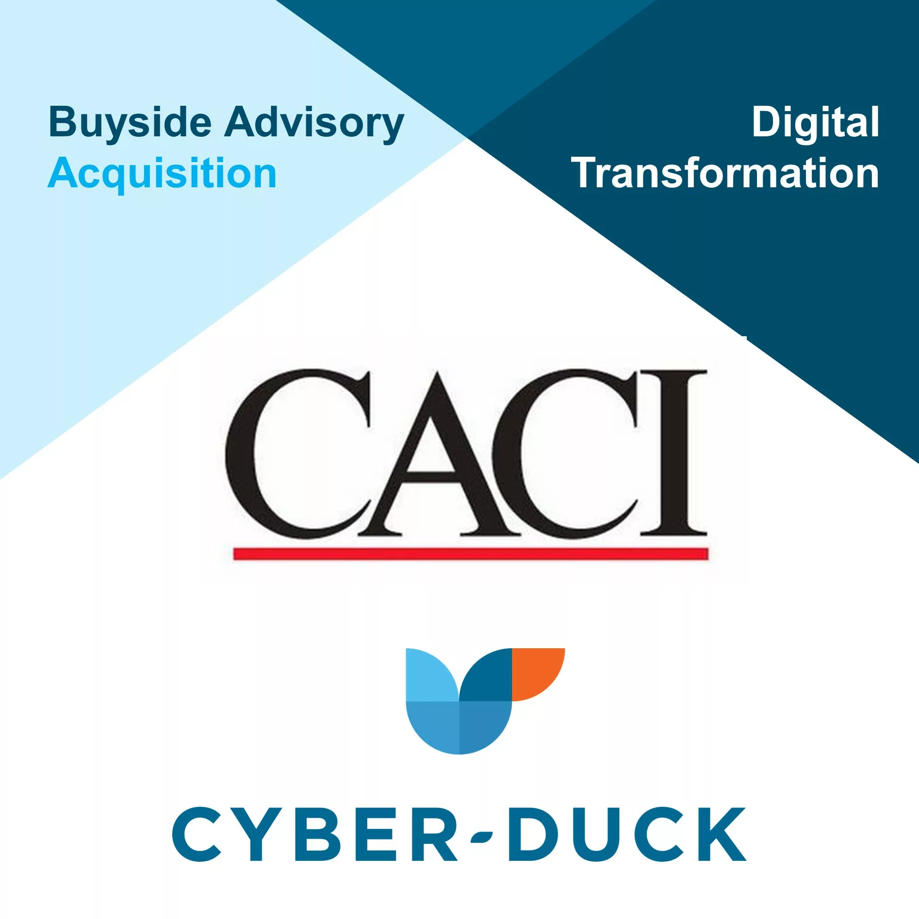 CACI and Cyber-duck acquisition buyside